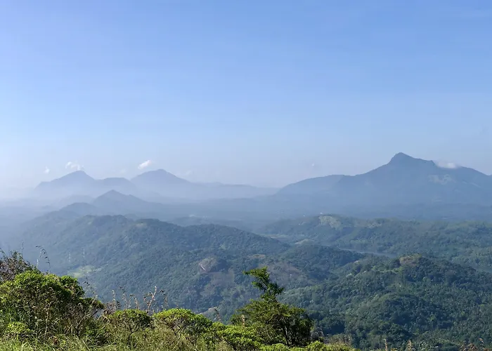 Arangala Forest Lodge